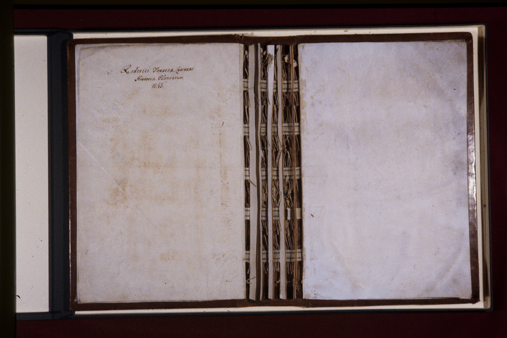 Roma, Biblioteca Casanatense, Ms. 459
icpal_29981
Keywords: Casanatense Ms. 459, Casanatense
