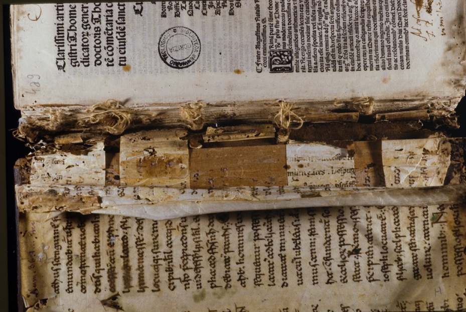 Gorizia, Biblioteca Pubblica del Seminario Teologico Centrale, 4.a.9 [Catalogo Cavazza 663]
icpal_24556
Keywords: 1619/1999, 1619.3/1999, Gorizia B Seminario Teologico Centrale 4.a.9 [Catalogo Cavazza 663], Gorizia B Seminario Teologico Centrale