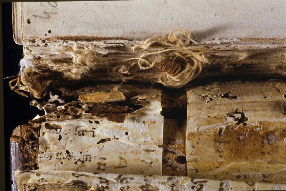 Gorizia, Biblioteca Pubblica del Seminario Teologico Centrale, 4.a.9 [Catalogo Cavazza 663]
icpal_24557
Keywords: 1619/1999, 1619.3/1999, Gorizia B Seminario Teologico Centrale 4.a.9 [Catalogo Cavazza 663], Gorizia B Seminario Teologico Centrale