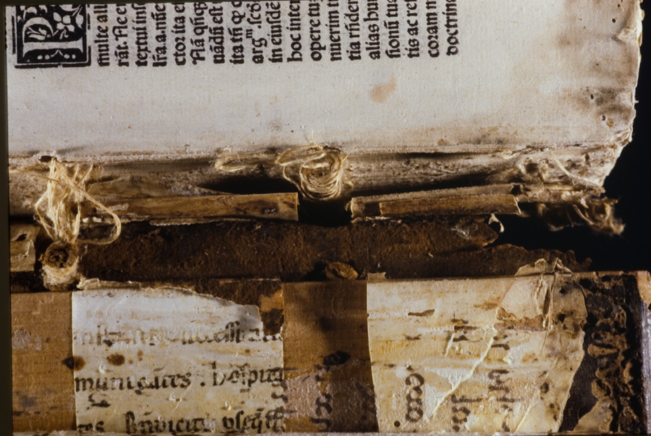 Gorizia, Biblioteca Pubblica del Seminario Teologico Centrale, 4.a.9 [Catalogo Cavazza 663]
icpal_24559
Keywords: 1619/1999, 1619.3/1999, Gorizia B Seminario Teologico Centrale 4.a.9 [Catalogo Cavazza 663], Gorizia B Seminario Teologico Centrale
