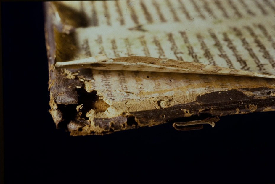 Gorizia, Biblioteca Pubblica del Seminario Teologico Centrale, 4.a.9 [Catalogo Cavazza 663]
icpal_24563
Keywords: 1619/1999, 1619.3/1999, Gorizia B Seminario Teologico Centrale 4.a.9 [Catalogo Cavazza 663], Gorizia B Seminario Teologico Centrale