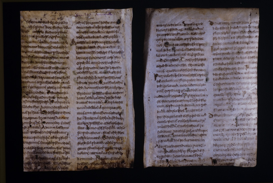 Gorizia, Biblioteca Pubblica del Seminario Teologico Centrale, 4.a.9 [Catalogo Cavazza 663]
icpal_24577
Keywords: 1619/1999, 1619.3/1999, Gorizia B Seminario Teologico Centrale 4.a.9 [Catalogo Cavazza 663], Gorizia B Seminario Teologico Centrale
