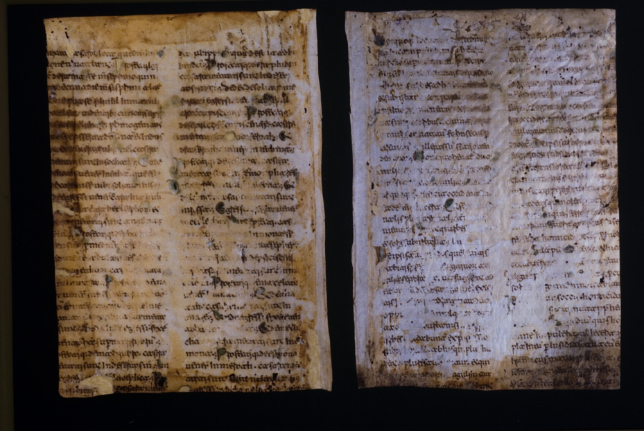 Gorizia, Biblioteca Pubblica del Seminario Teologico Centrale, 4.a.9 [Catalogo Cavazza 663]
icpal_24578
Keywords: 1619/1999, 1619.3/1999, Gorizia B Seminario Teologico Centrale 4.a.9 [Catalogo Cavazza 663], Gorizia B Seminario Teologico Centrale