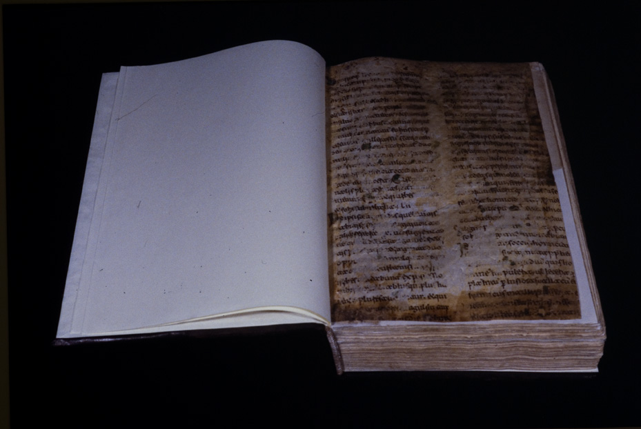 Gorizia, Biblioteca Pubblica del Seminario Teologico Centrale, 4.a.9 [Catalogo Cavazza 663]
icpal_24598
Keywords: 1619/1999, 1619.3/1999, Gorizia B Seminario Teologico Centrale 4.a.9 [Catalogo Cavazza 663], Gorizia B Seminario Teologico Centrale