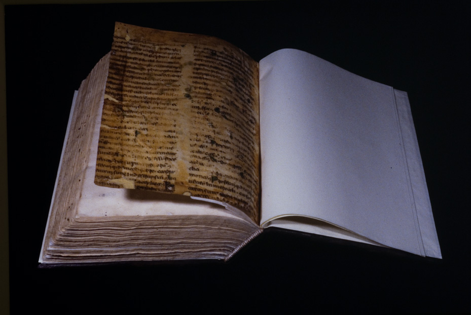 Gorizia, Biblioteca Pubblica del Seminario Teologico Centrale, 4.a.9 [Catalogo Cavazza 663]
icpal_24601
Keywords: 1619/1999, 1619.3/1999, Gorizia B Seminario Teologico Centrale 4.a.9 [Catalogo Cavazza 663], Gorizia B Seminario Teologico Centrale