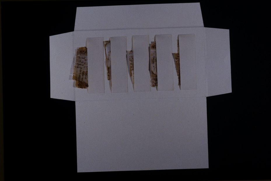 Cartellina per la conservazione. Gorizia, Biblioteca Pubblica del Seminario Teologico Centrale, 4.a.9 [Catalogo Cavazza 663]
icpal_24604
Keywords: 1619/1999, 1619.3/1999, Gorizia B Seminario Teologico Centrale 4.a.9 [Catalogo Cavazza 663], Gorizia B Seminario Teologico Centrale