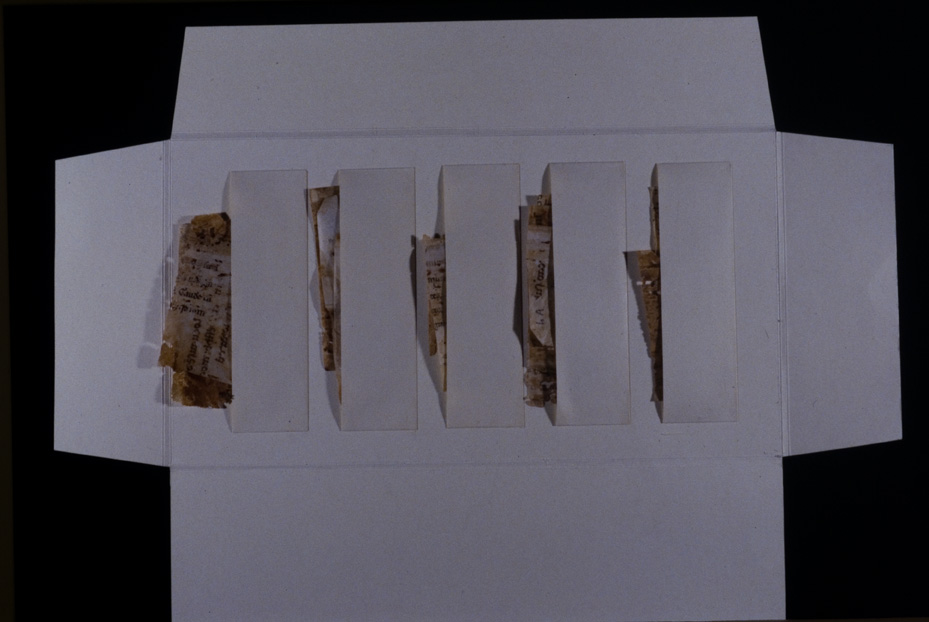 Cartellina per la conservazione. Gorizia, Biblioteca Pubblica del Seminario Teologico Centrale, 4.a.9 [Catalogo Cavazza 663]
icpal_24605
Keywords: 1619/1999, 1619.3/1999, Gorizia B Seminario Teologico Centrale 4.a.9 [Catalogo Cavazza 663], Gorizia B Seminario Teologico Centrale