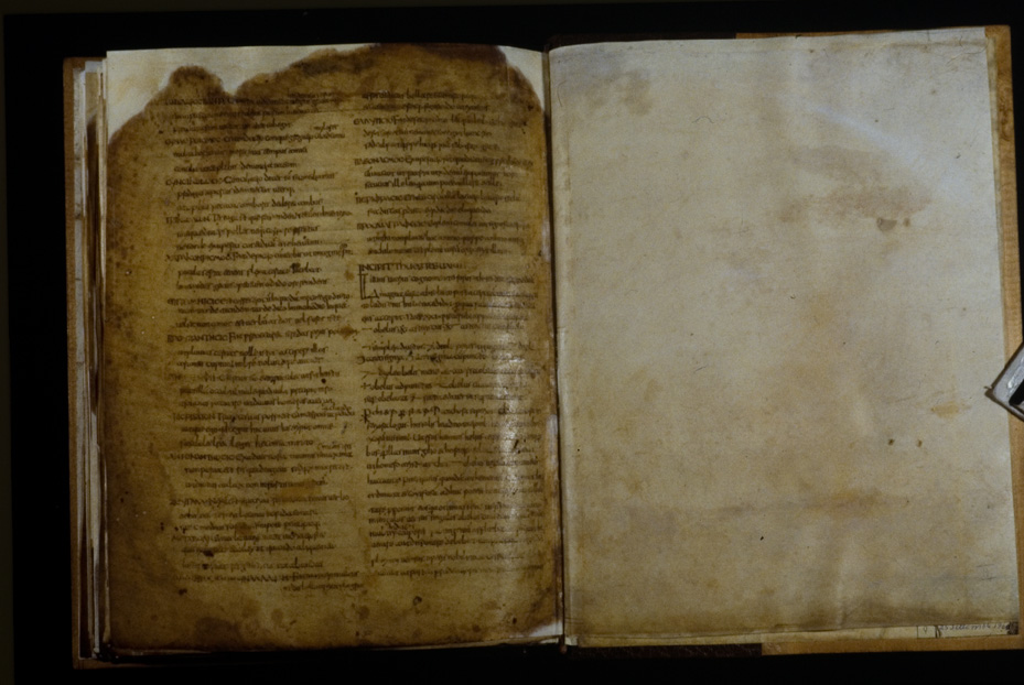 Roma, Biblioteca Casanatense, Ms. 1086
icpal_25523
Keywords: 1623/1999, 1623.1/1999, Casanatense Ms. 1086, Casanatense