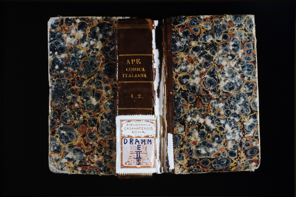 Roma, Biblioteca Casanatense, DRAMM E.II 5
icpal_27762
Keywords: 1623/1999, 1623.3/1999, Casanatense DRAMM E.II 5, Casanatense