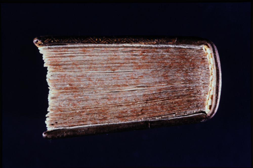 Roma, Biblioteca Casanatense, COMM 197 1
icpal_27551
Keywords: 1623/1999, 1623.6/1999, Casanatense COMM 197 1, Casanatense