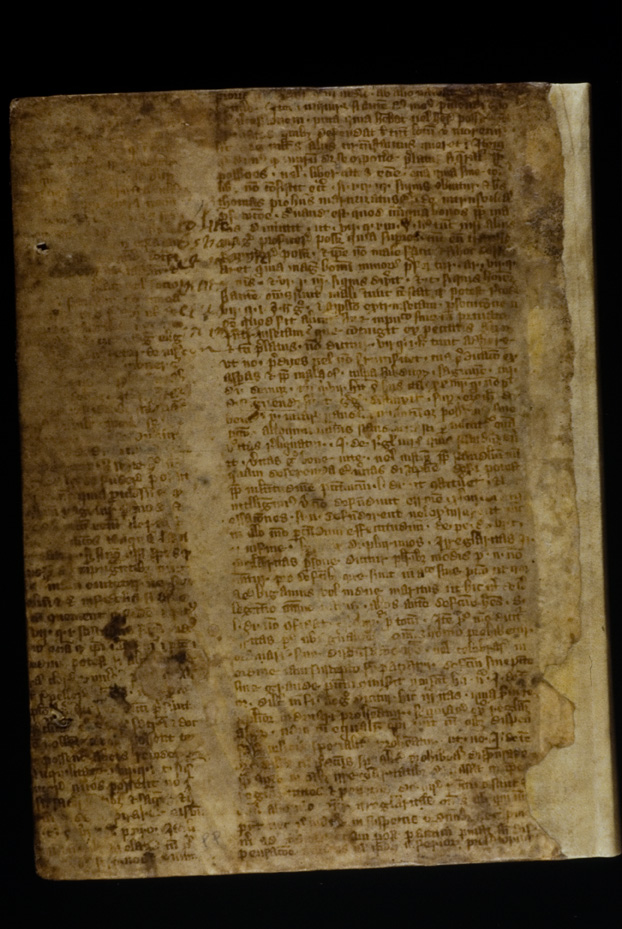 Vicenza, Biblioteca internazionale La Vigna, CAP 144
icpal_24258
Keywords: 1629/1999, 1640/1999, 1629.1/1999, 1640.1/1999, La Vigna CAP 144, La Vigna