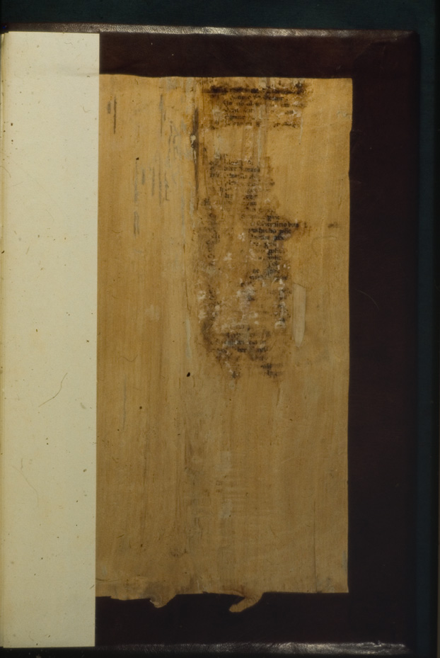 517.B-3 - Cividale del Friuli, Museo archeologico nazionale. Archivi e Biblioteca, IV
icpal_03740
Keywords: MAN Cividale del Friuli, 517.B-3/1972,517.B/1972