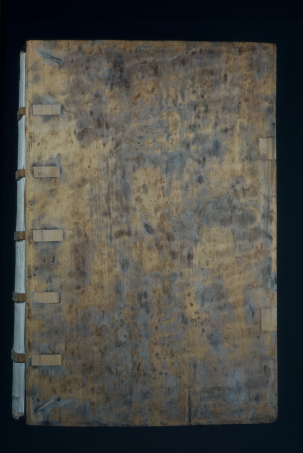 517.B-3 - Cividale del Friuli, Museo archeologico nazionale. Archivi e Biblioteca, IV
icpal_03746
Keywords: MAN Cividale del Friuli, 517.B-3/1972,517.B/1972
