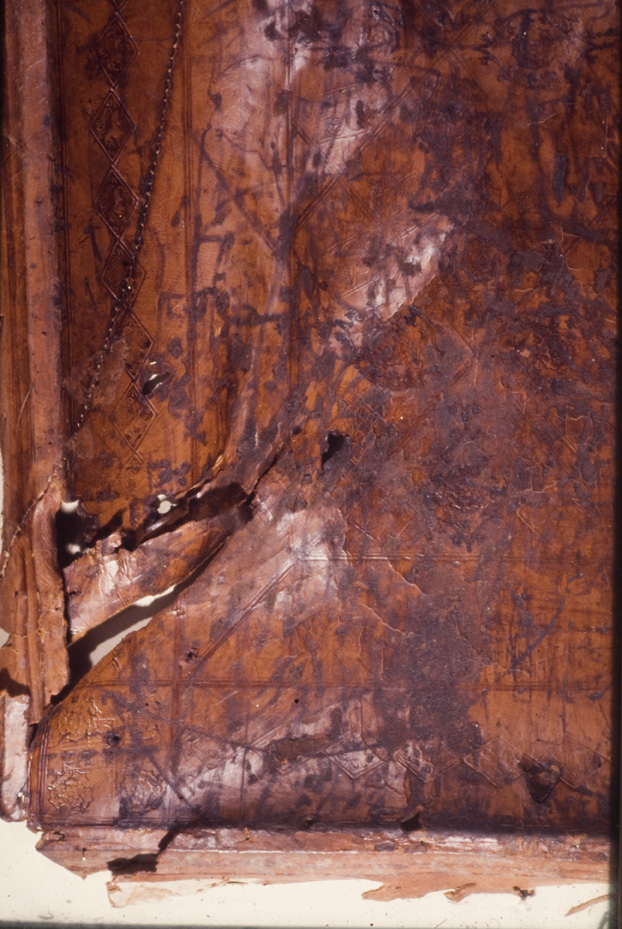 517.B-3 - Cividale del Friuli, Museo archeologico nazionale. Archivi e Biblioteca, IV
icpal_03770
Keywords: MAN Cividale del Friuli, 517.B-3/1972,517.B/1972