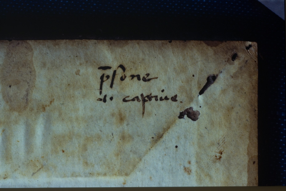 Napoli, Biblioteca Nazionale Vittorio Emanuele 3., Ms. IV.C.52
icpal_12962
Keywords: BNN Ms. IV.C.52, BNN