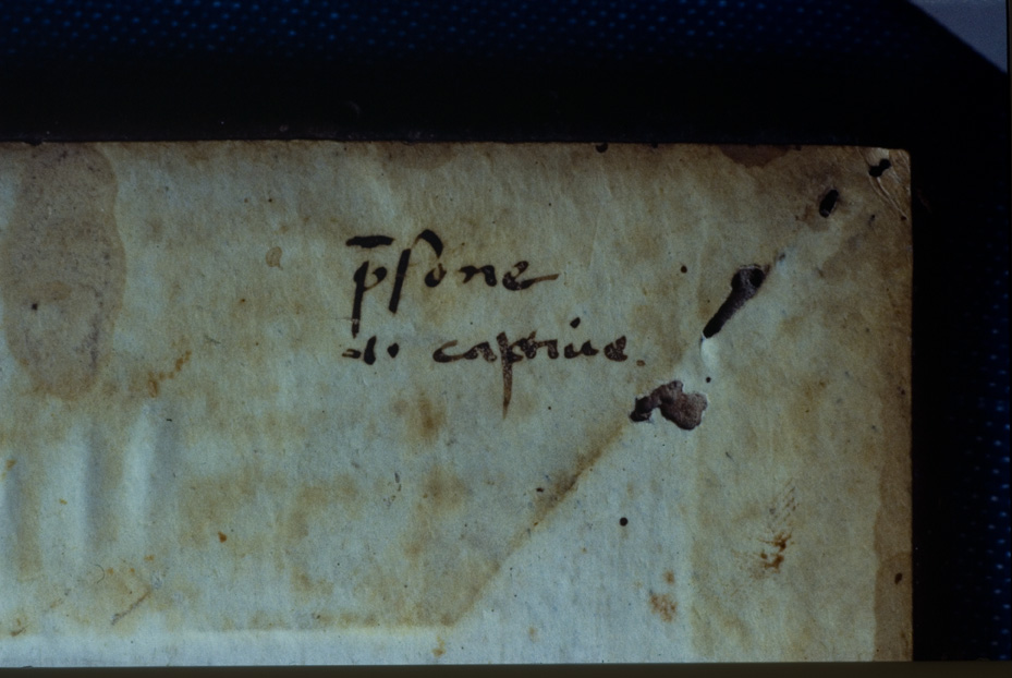 Napoli, Biblioteca Nazionale Vittorio Emanuele 3., Ms. IV.C.52
icpal_12964
Keywords: BNN Ms. IV.C.52, BNN