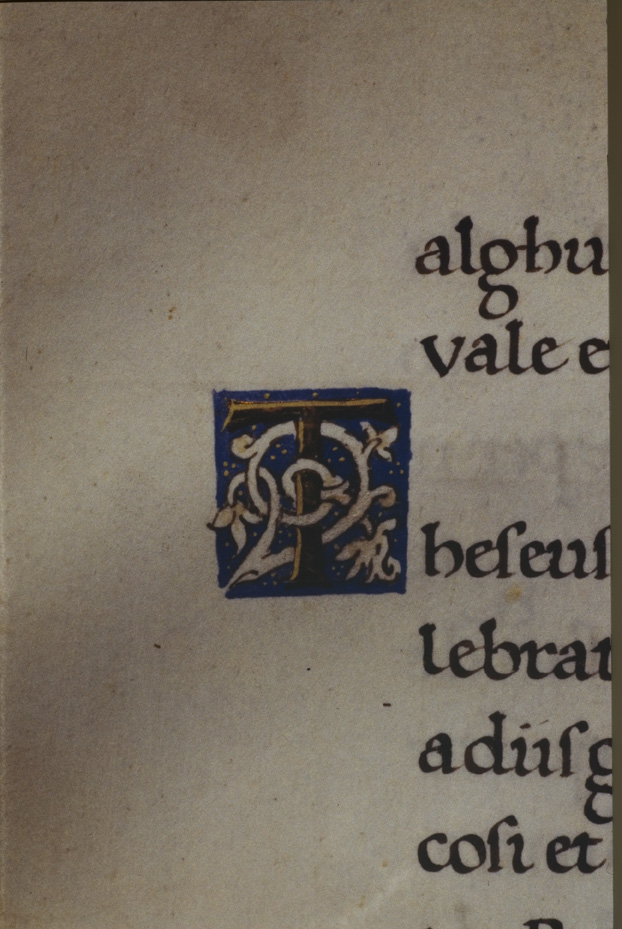 Napoli, Biblioteca Nazionale Vittorio Emanuele 3., Ms. IV.C.52
icpal_13069
Keywords: BNN Ms. IV.C.52, BNN