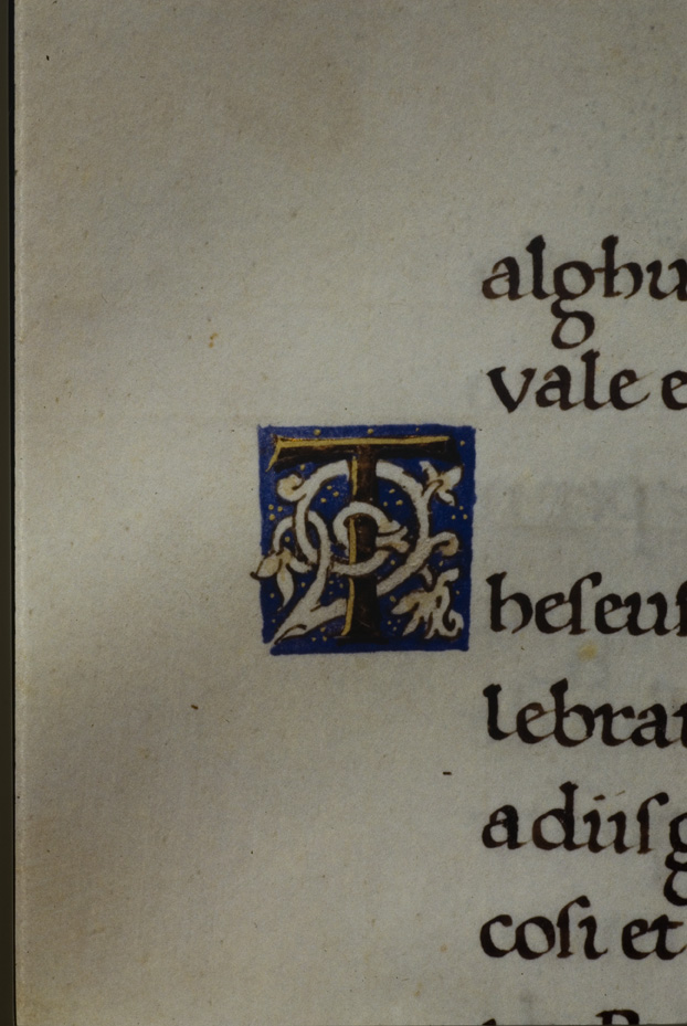 Napoli, Biblioteca Nazionale Vittorio Emanuele 3., Ms. IV.C.52
icpal_13070
Keywords: BNN Ms. IV.C.52, BNN