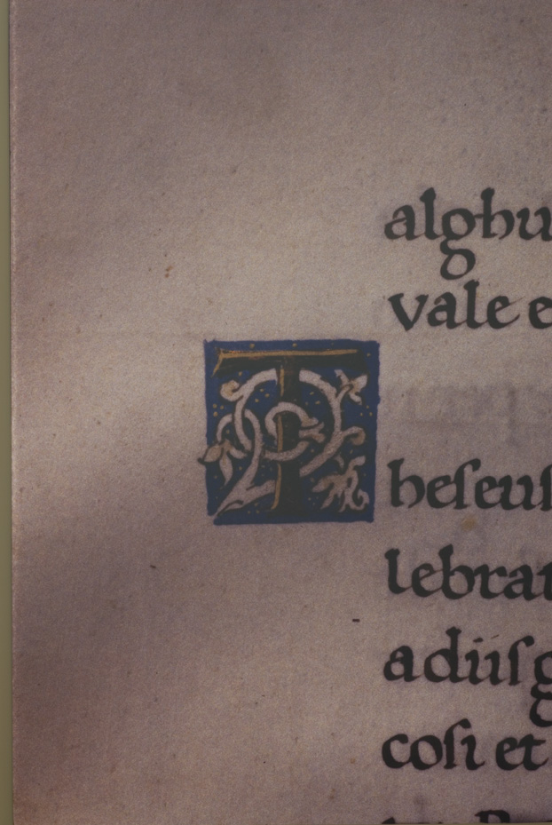 Napoli, Biblioteca Nazionale Vittorio Emanuele 3., Ms. IV.C.52
icpal_13071
Keywords: BNN Ms. IV.C.52, BNN