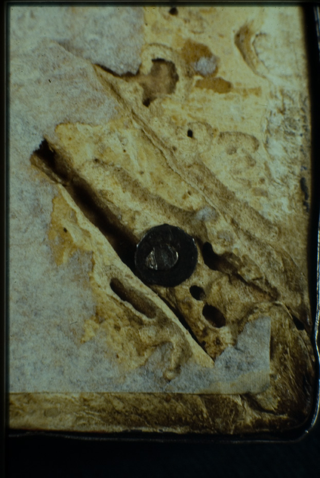 Cividale del Friuli, Museo Archeologico Nazionale, CXXXVII
icpal_01465
Keywords: Cividale del Friuli M Archeol. Naz. CXXXVII, Rest.23.5/1978, Cividale del Friuli M Archeol. Naz.