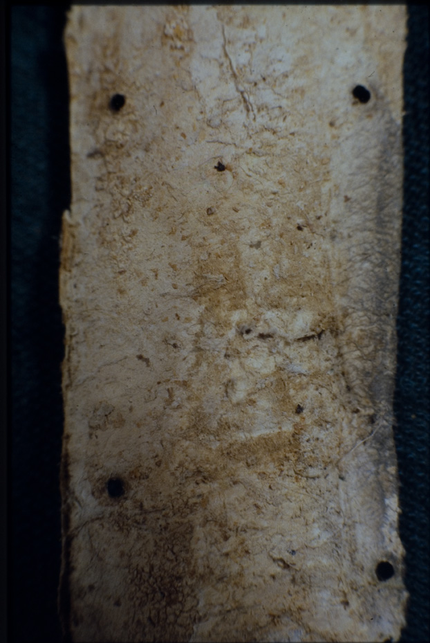 Cividale del Friuli, Museo Archeologico Nazionale, CXXXVII
icpal_01843
Keywords: Cividale del Friuli M Archeol. Naz. CXXXVII, Rest.23.5/1978, Cividale del Friuli M Archeol. Naz.
