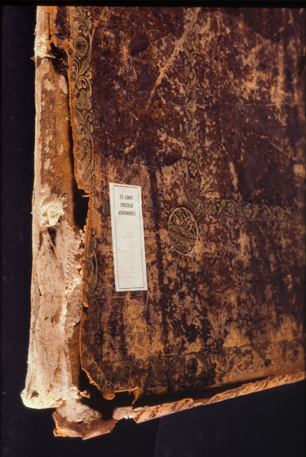 Bologna, Biblioteca Universitaria, Ms. D.3
icpal_00078
Keywords: BUB Ms. D.3, BUB