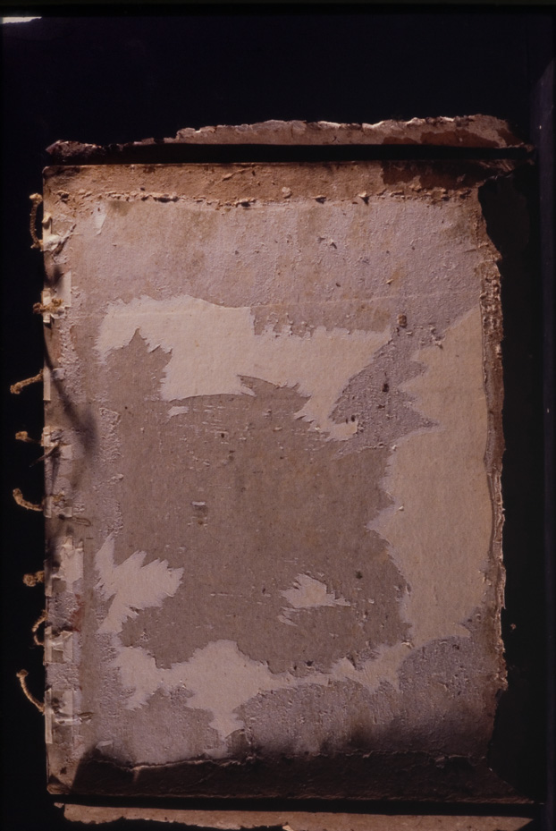 Bologna, Biblioteca Universitaria, Ms. D.3
icpal_00086
Keywords: BUB Ms. D.3, BUB
