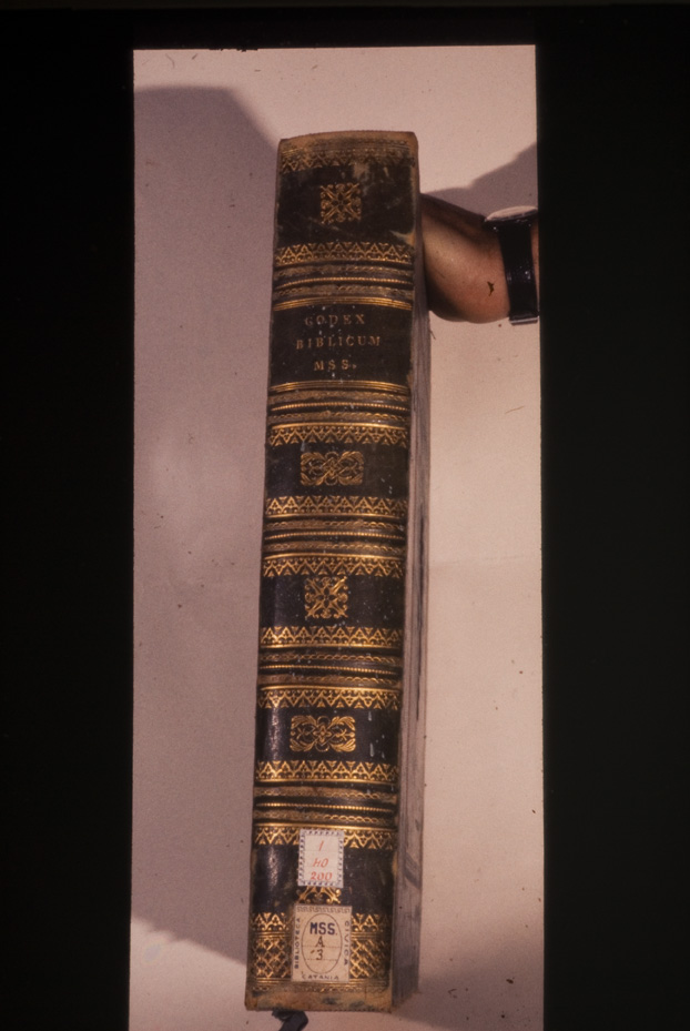Catania, Biblioteche riunite Civica e A. Ursino Recupero, Ms. A.3 - I.40.200
icpal_00247
Keywords: Civica e Recupero Ms. A.3 - I.40.200, Civica e Recupero