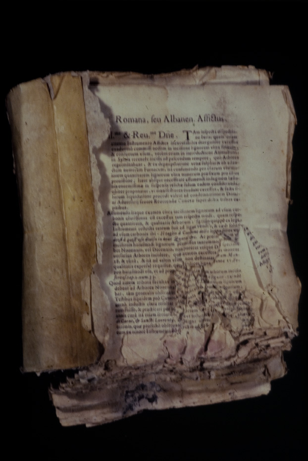 Bologna, Biblioteca Universitaria, Ms. 568
icpal_00277
Keywords: BUB Ms. 568, BUB
