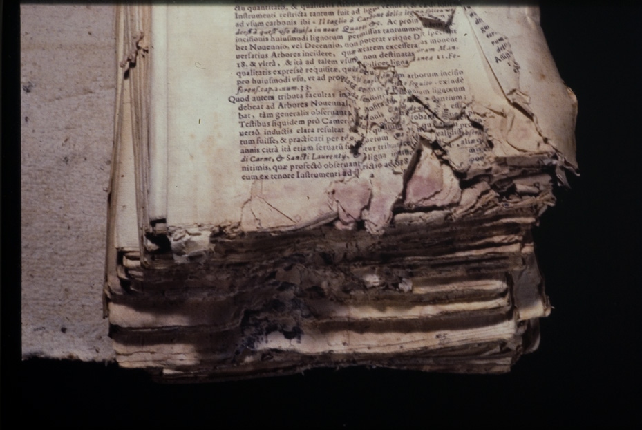Bologna, Biblioteca Universitaria, Ms. 568
icpal_00278
Keywords: BUB Ms. 568, BUB