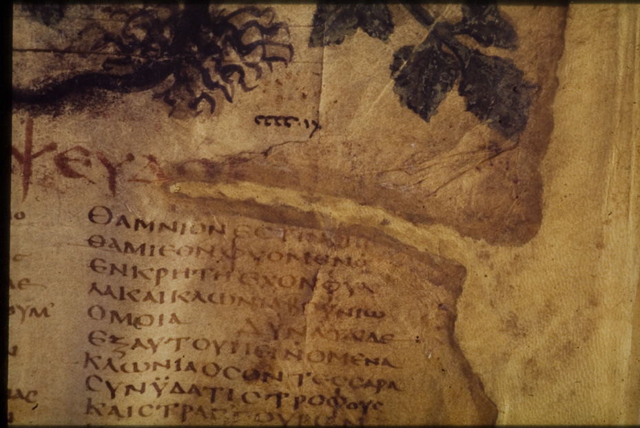 Napoli, Biblioteca Nazionale Vittorio Emanuele 3., Ms. ex-Vind. Gr. 1
icpal_01084
Keywords: BNN Ms. ex-Vind. Gr. 1, BNN