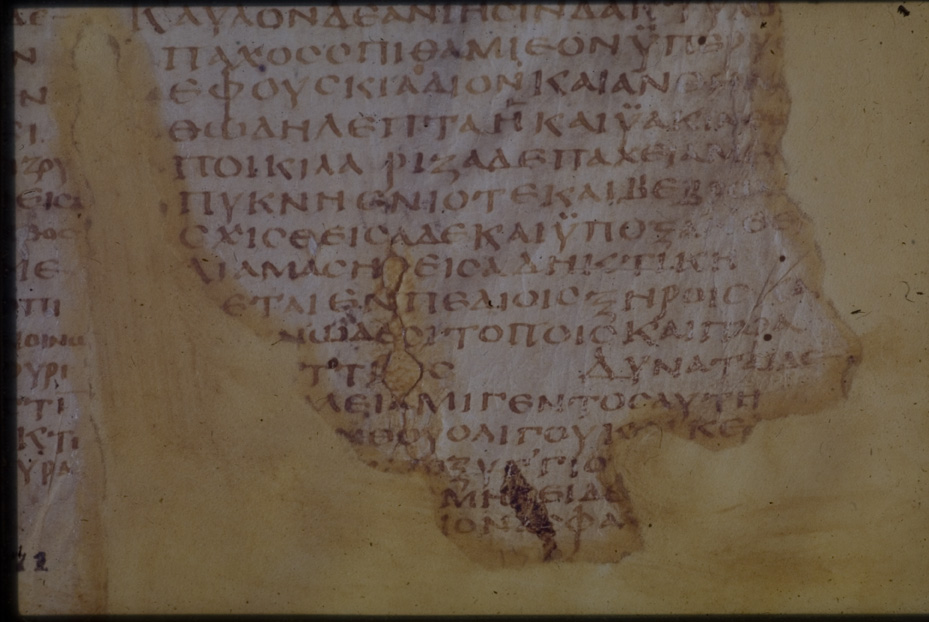 Napoli, Biblioteca Nazionale Vittorio Emanuele 3., Ms. ex-Vind. Gr. 1
icpal_01085
Keywords: BNN Ms. ex-Vind. Gr. 1, BNN