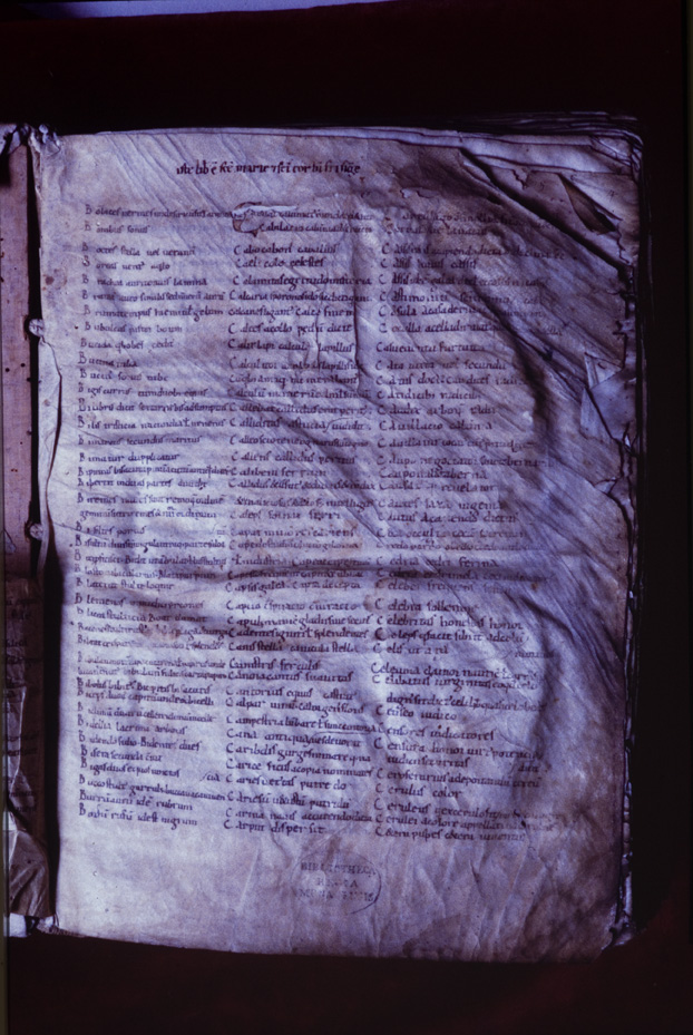 Monaco, Bayerische Staatsbibliothek, Clm 6210
icpal_11725
Keywords: BSB Clm 6210, BSB