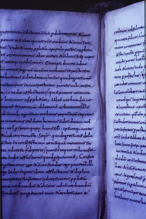 Monaco, Bayerische Staatsbibliothek, Clm 6223
icpal_11736
Keywords: BSB Clm 6223, BSB