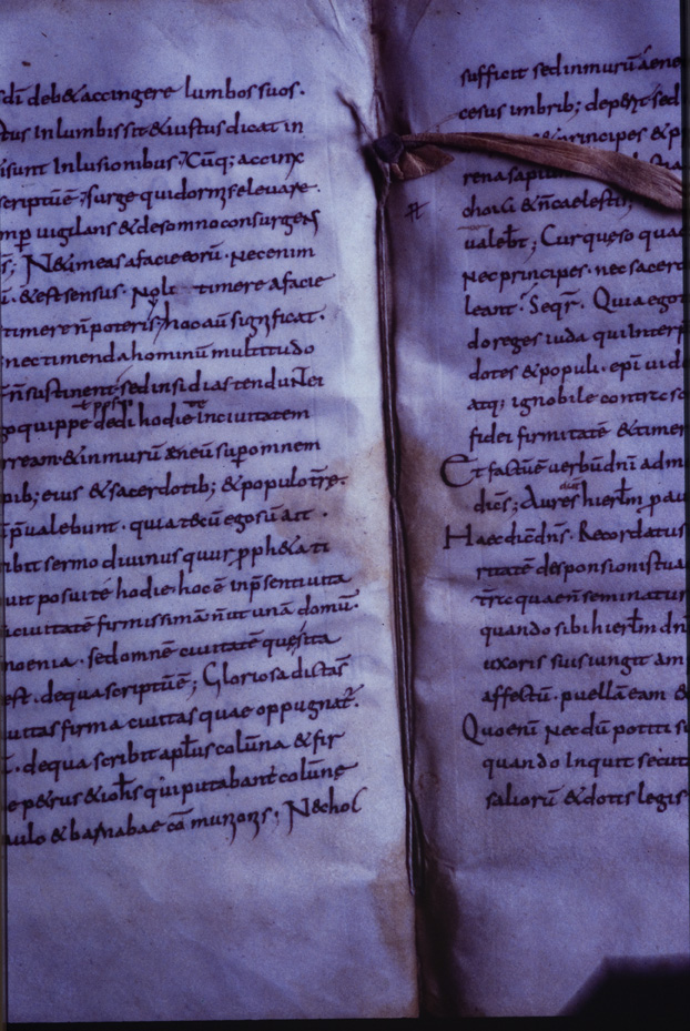 Monaco, Bayerische Staatsbibliothek, Clm 6223
icpal_11739
Keywords: BSB Clm 6223, BSB
