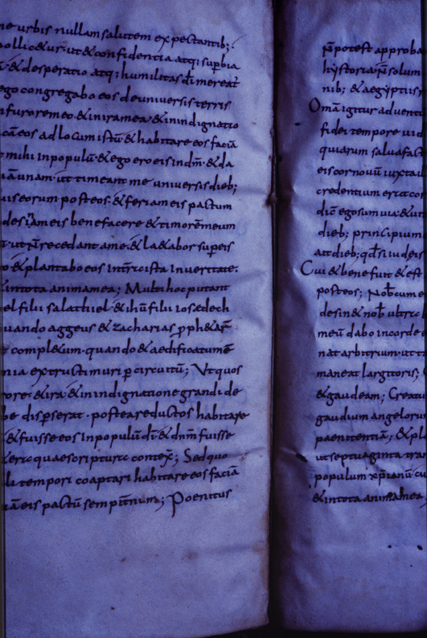 Monaco, Bayerische Staatsbibliothek, Clm 6223
icpal_11749
Keywords: BSB Clm 6223, BSB