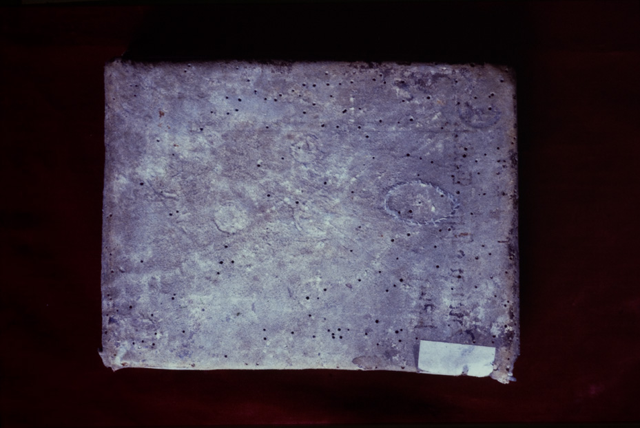 Monaco, Bayerische Staatsbibliothek, Clm 6238
icpal_11758
Keywords: BSB Clm 6238, BSB
