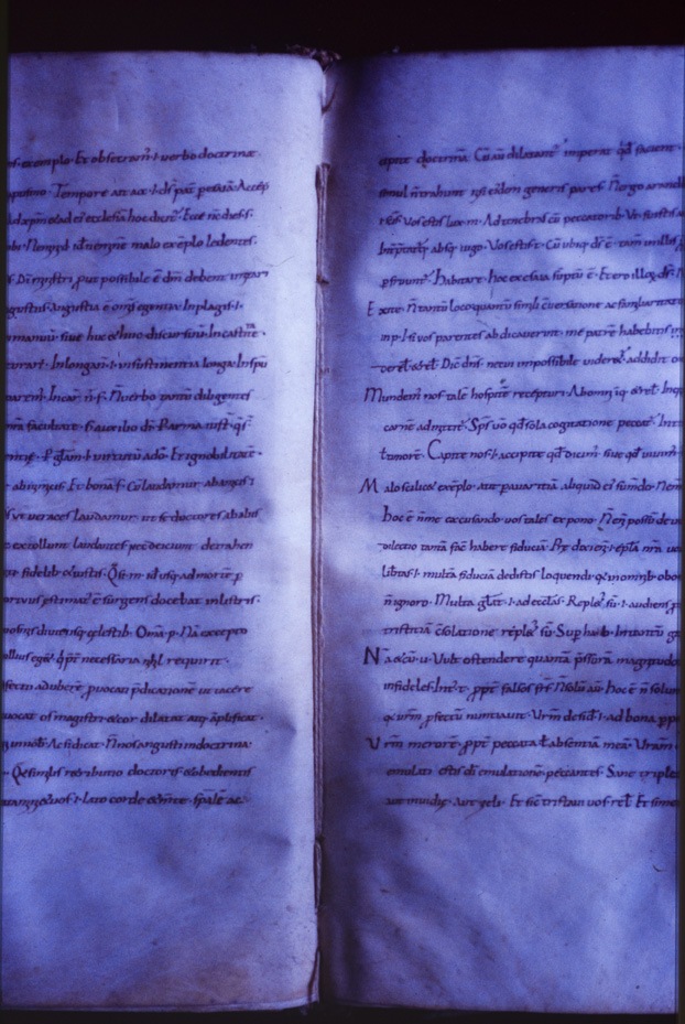 Monaco, Bayerische Staatsbibliothek, Clm 6238
icpal_11759
Keywords: BSB Clm 6238, BSB