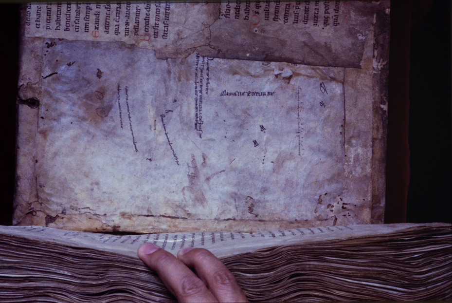 Monaco, Bayerische Staatsbibliothek, Clm 6247
icpal_11762
Keywords: BSB Clm 6247, BSB