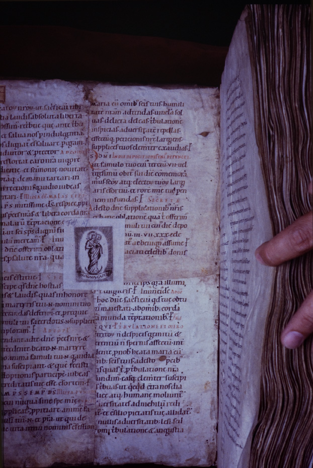 Monaco, Bayerische Staatsbibliothek, Clm 6247
icpal_11767
Keywords: BSB Clm 6247, BSB