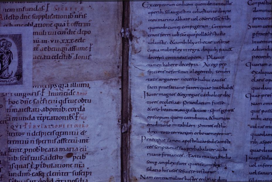 Monaco, Bayerische Staatsbibliothek, Clm 6247
icpal_11769
Keywords: BSB Clm 6247, BSB