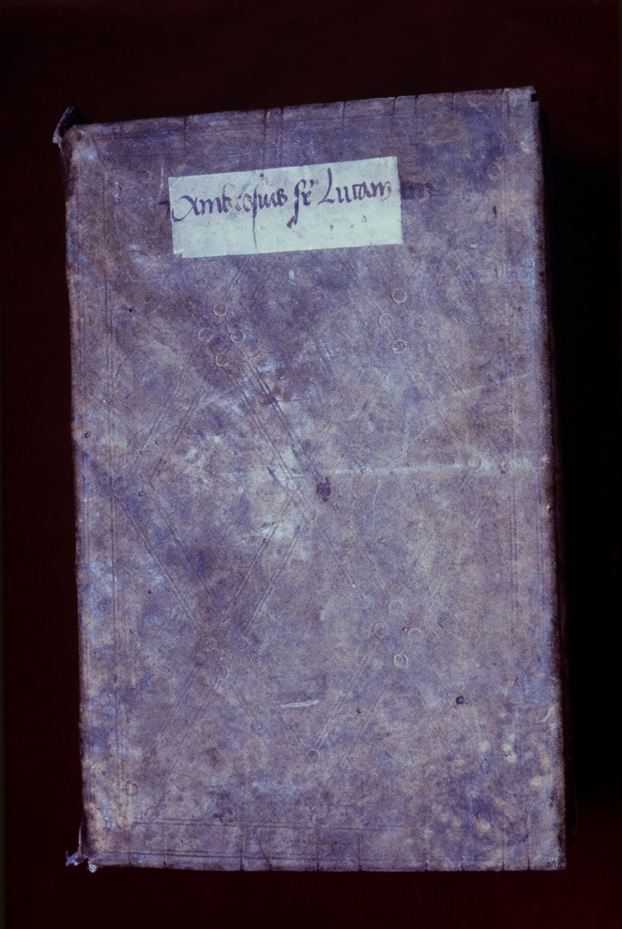 Monaco, Bayerische Staatsbibliothek, Clm 6273
icpal_11805
Keywords: BSB Clm 6273, BSB