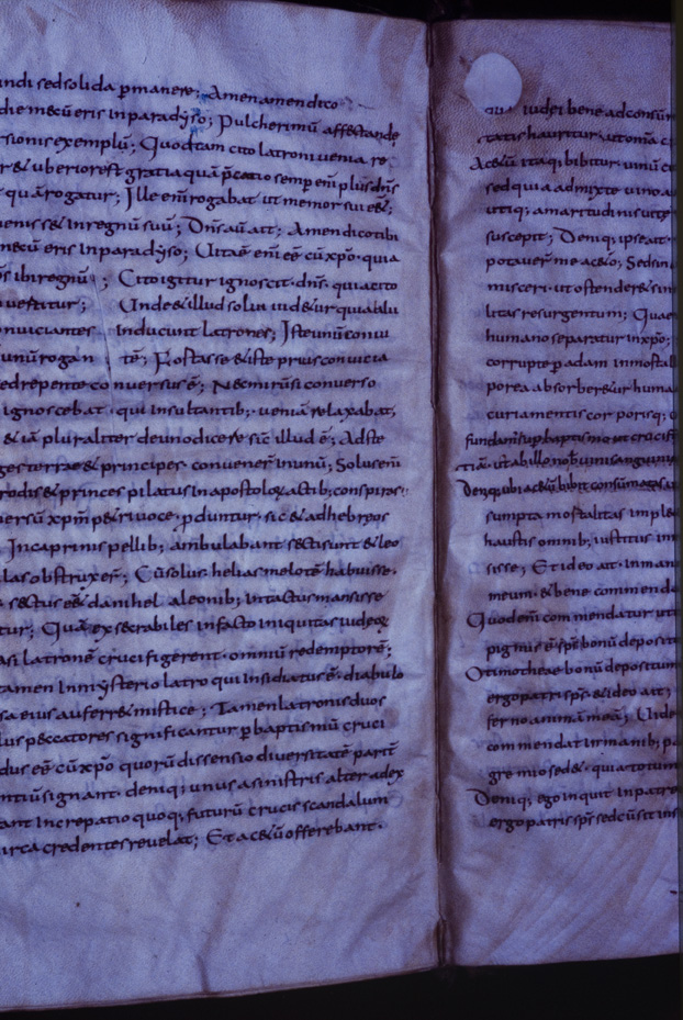 Monaco, Bayerische Staatsbibliothek, Clm 6273
icpal_11816
Keywords: BSB Clm 6273, BSB