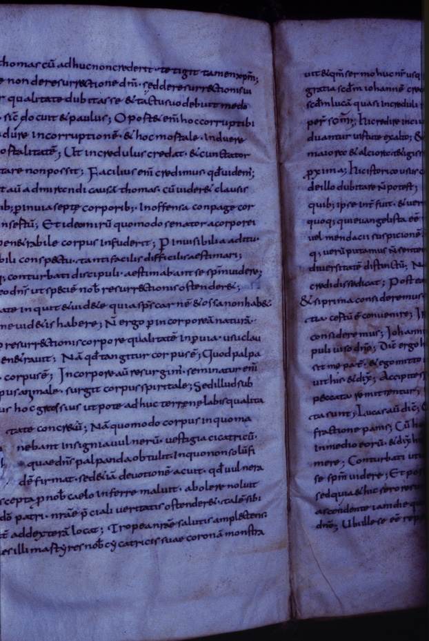 Monaco, Bayerische Staatsbibliothek, Clm 6273
icpal_11817
Keywords: BSB Clm 6273, BSB