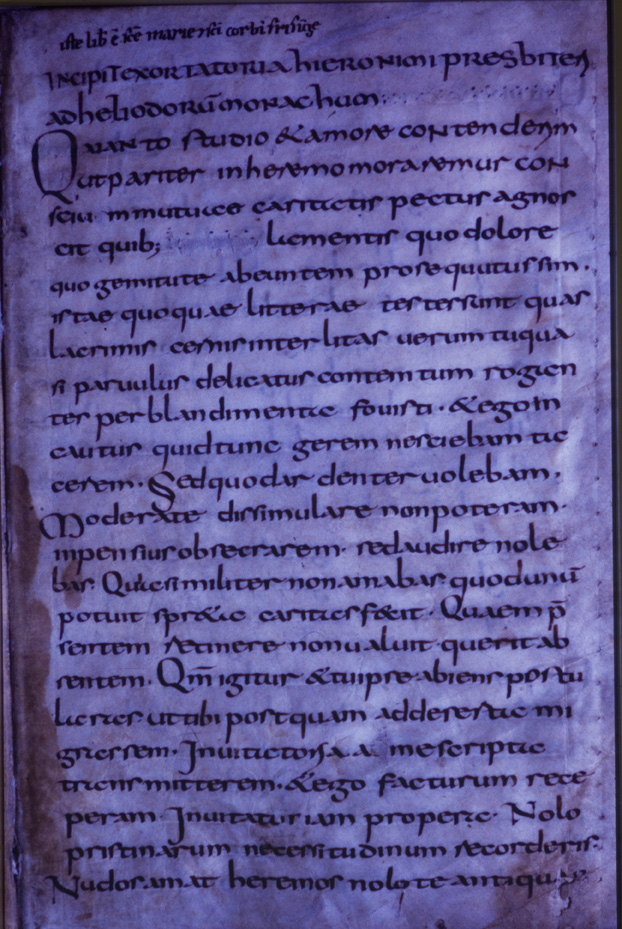 Monaco, Bayerische Staatsbibliothek, Clm 6299
icpal_11827
Keywords: BSB Clm 6299, BSB