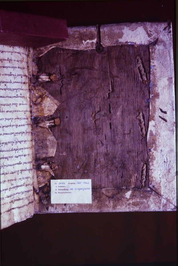 Monaco, Bayerische Staatsbibliothek, Clm 6389
icpal_11843
Keywords: BSB Clm 6389, BSB
