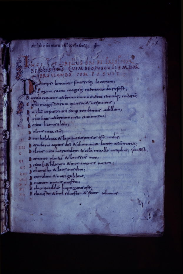 Monaco, Bayerische Staatsbibliothek, Clm 6389
icpal_11844
Keywords: BSB Clm 6389, BSB