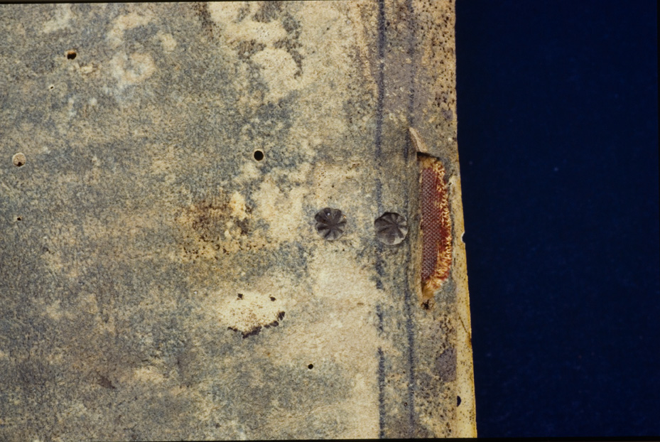 Roma, Biblioteca Vallicelliana, LEG I 7
icpal_12252
Keywords: Vallicelliana LEG I 7, Vallicelliana