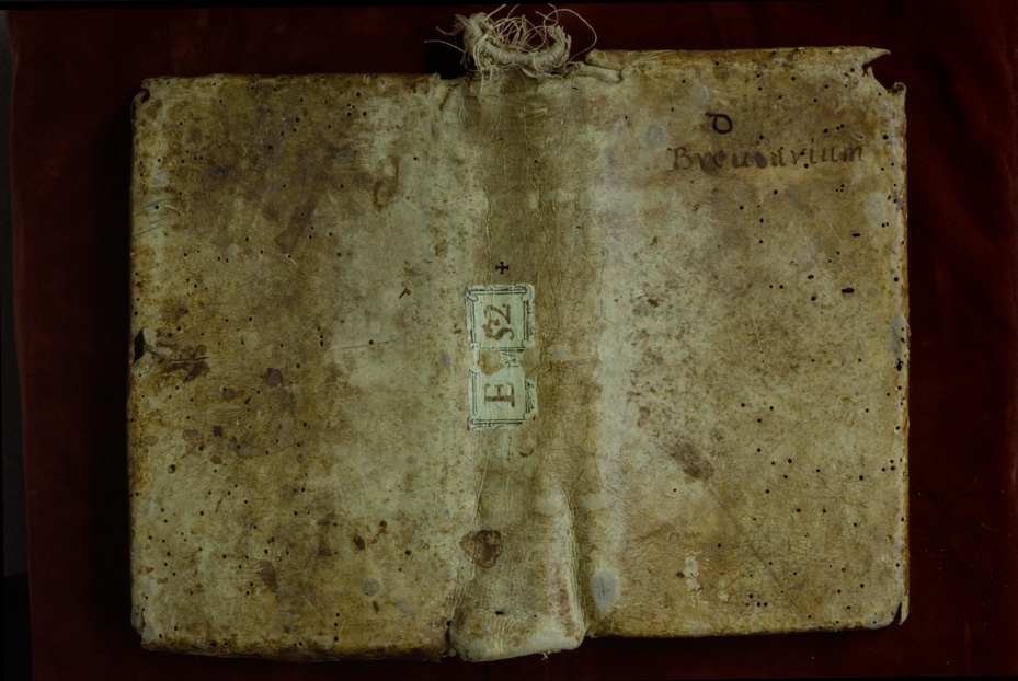 Roma, Biblioteca Vallicelliana, Ms. E.52/1-2
icpal_12265
Keywords: Vallicelliana Ms. E.52/1-2, Vallicelliana