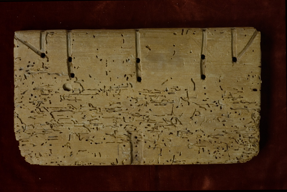 Roma, Biblioteca Vallicelliana, Ms. E.52/1-2
icpal_12267
Keywords: Vallicelliana Ms. E.52/1-2, Vallicelliana